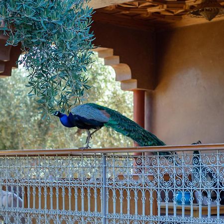 Ferme Sidi Safou & Spa Marrakesh Exterior foto