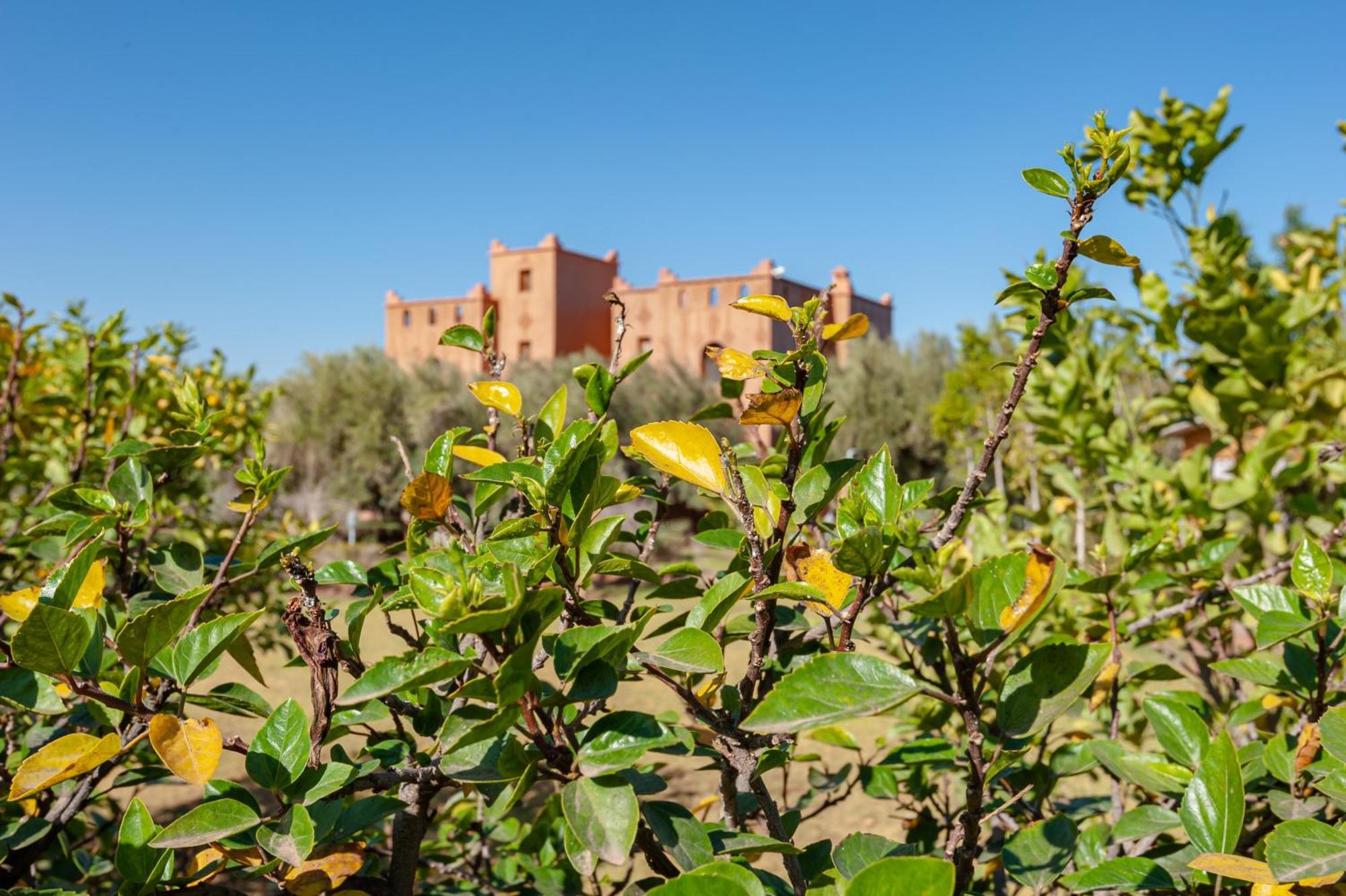 Ferme Sidi Safou & Spa Marrakesh Exterior foto