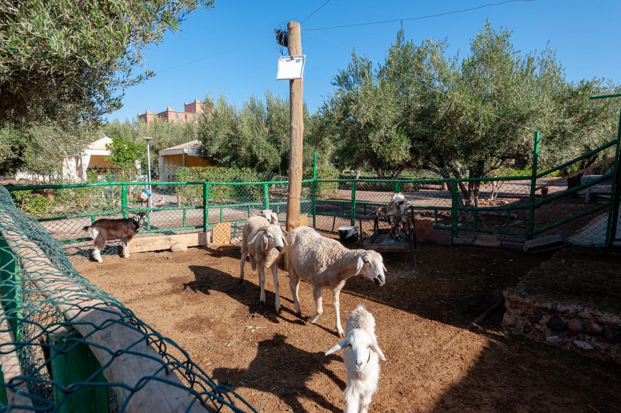 Ferme Sidi Safou & Spa Marrakesh Exterior foto