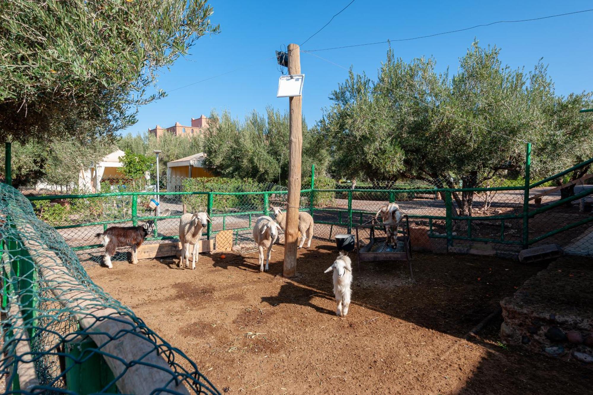 Ferme Sidi Safou & Spa Marrakesh Exterior foto