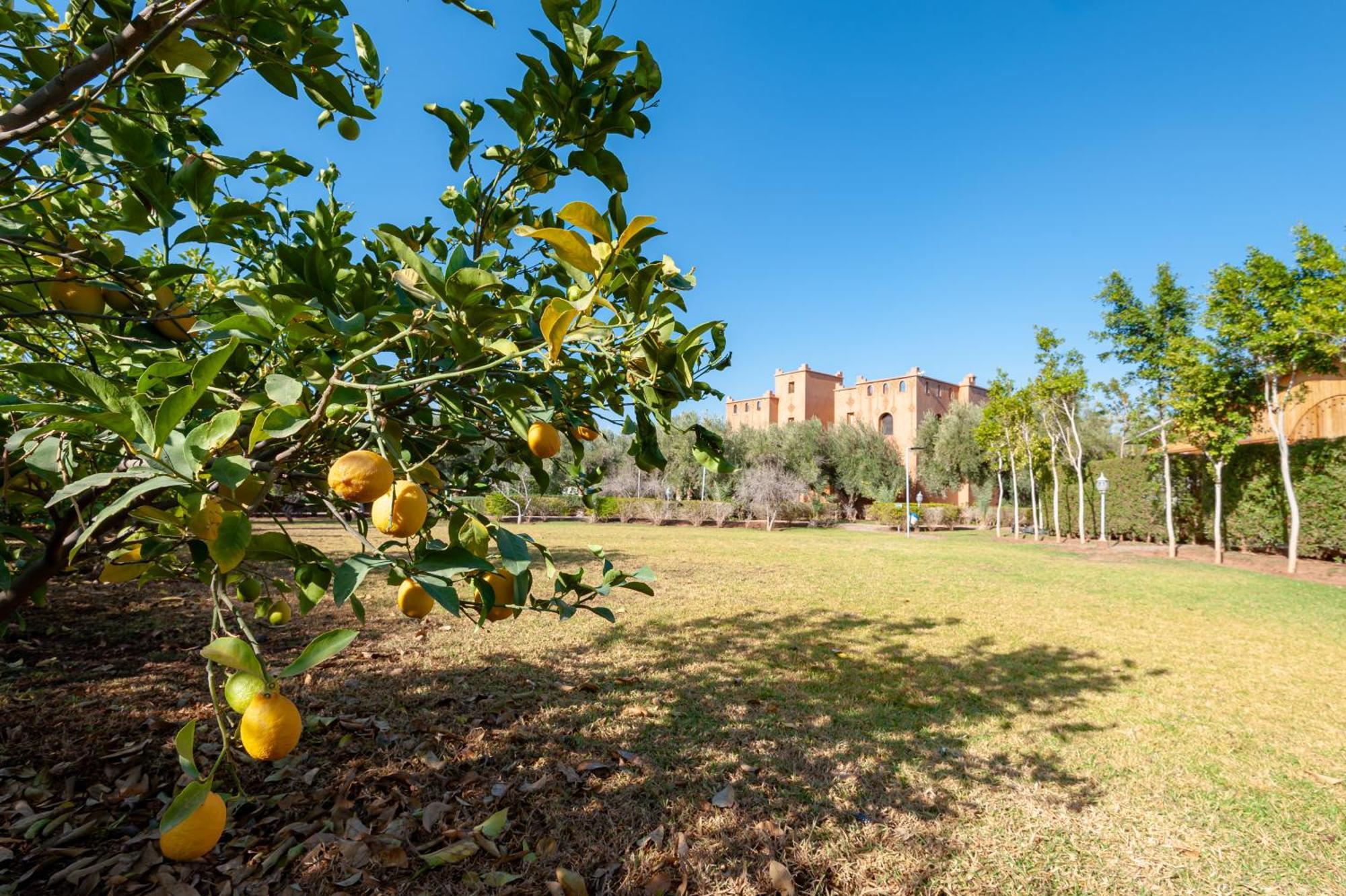 Ferme Sidi Safou & Spa Marrakesh Exterior foto