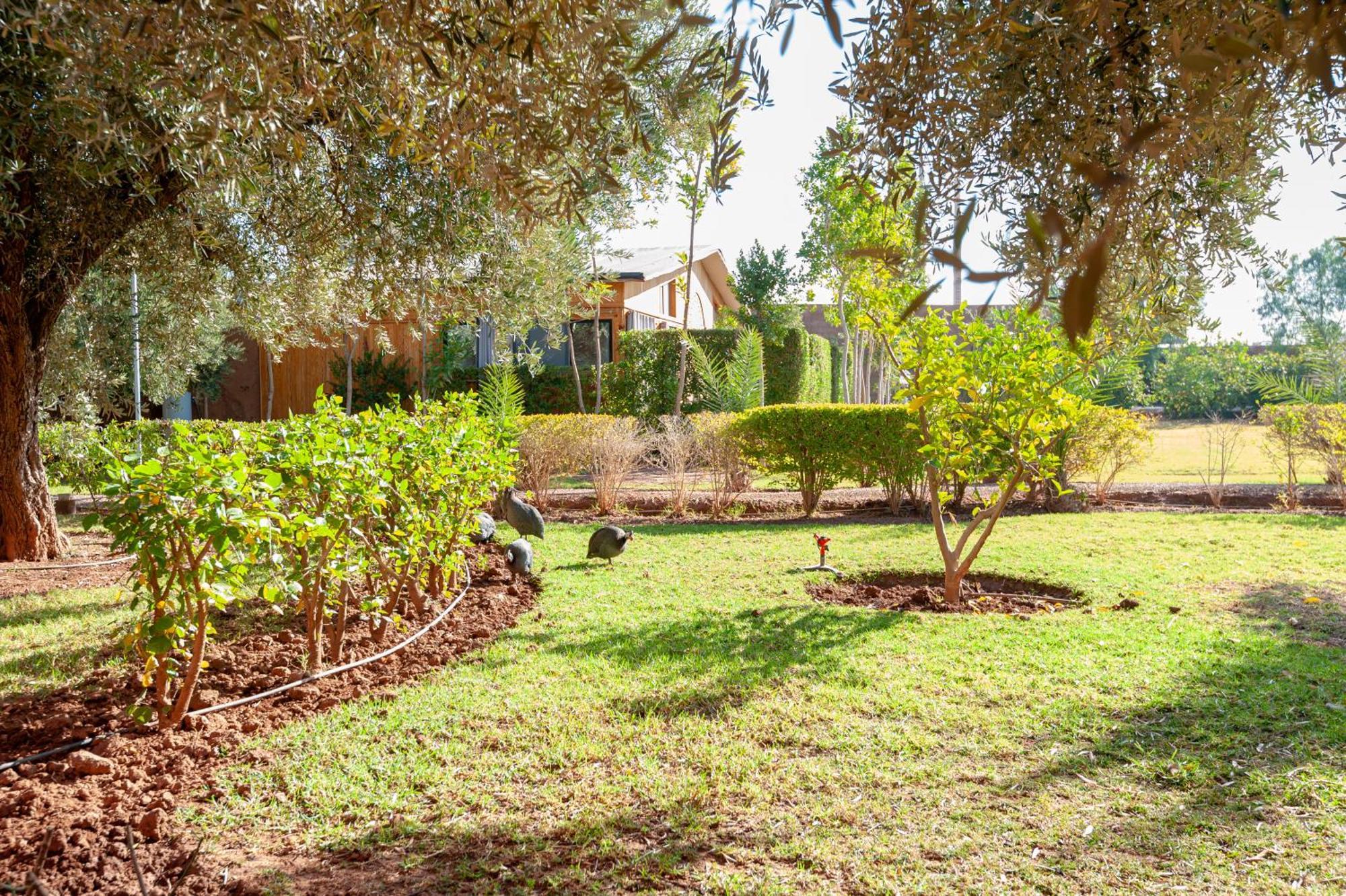 Ferme Sidi Safou & Spa Marrakesh Exterior foto