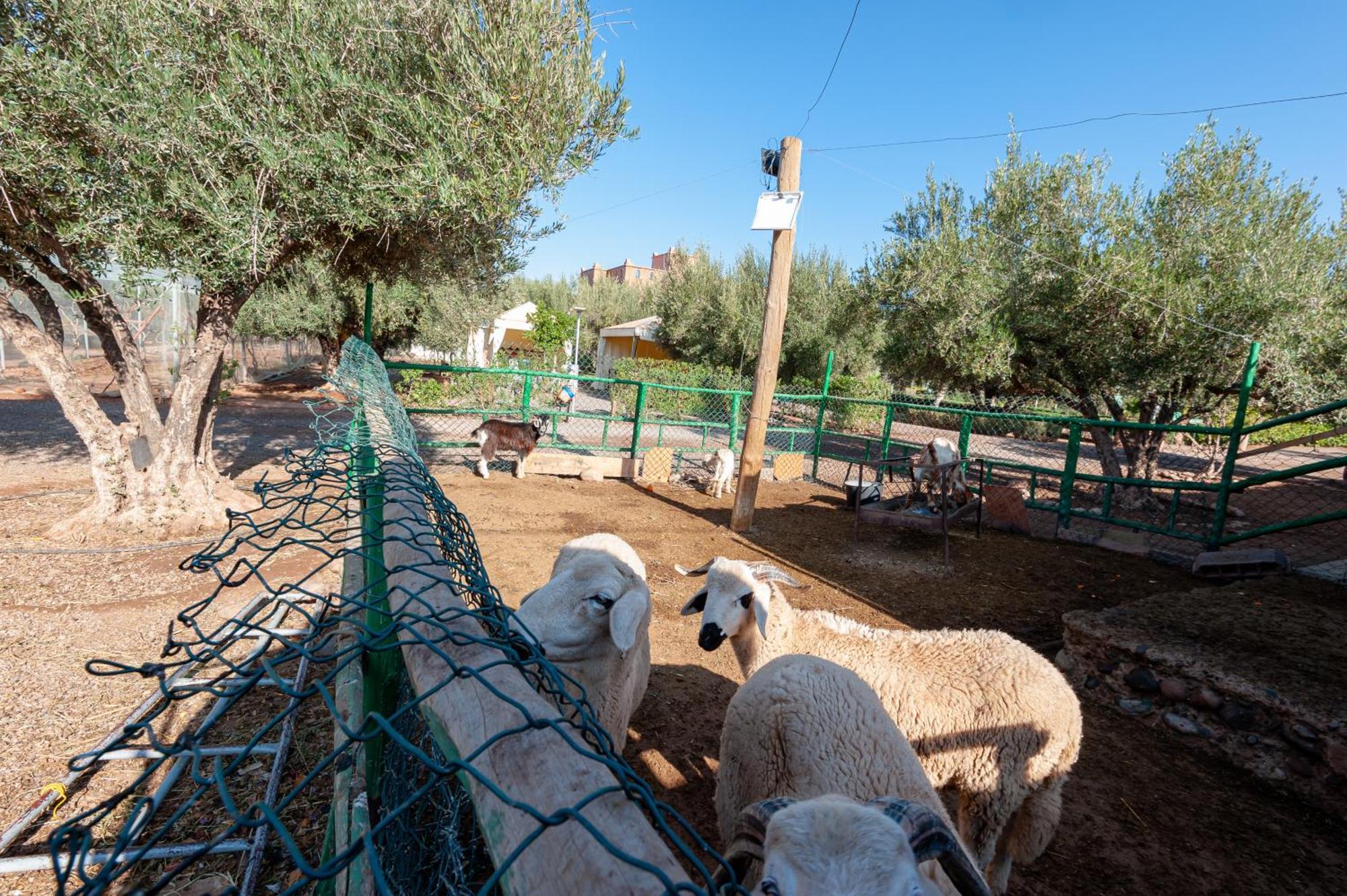 Ferme Sidi Safou & Spa Marrakesh Exterior foto